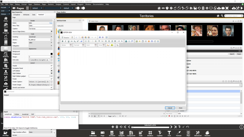 ShowDialog: Web Editor