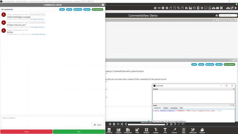 ShowDialogPanel: Commentsview