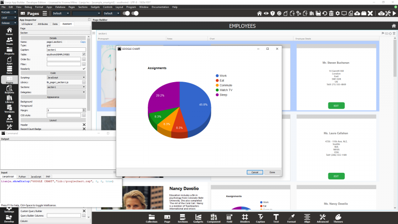 ShowDialog: Google Chart View