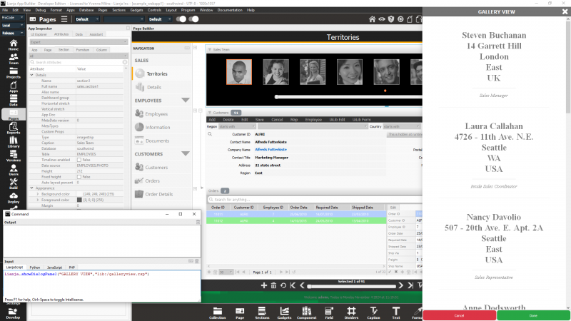 ShowDialogPanel: GalleryView